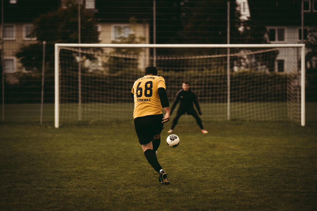 Robin van Persie